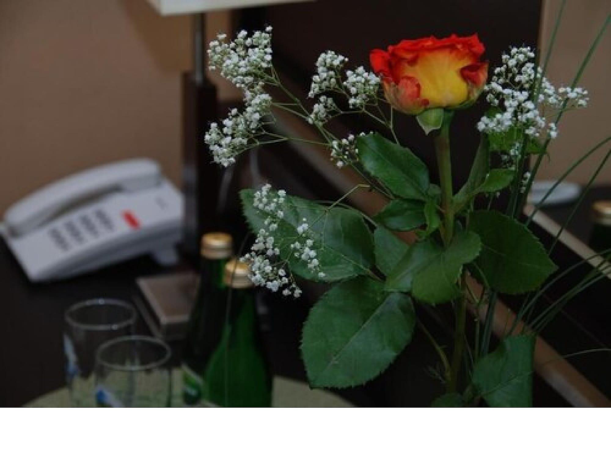 Hotel Topaz Poznan Centrum Dış mekan fotoğraf